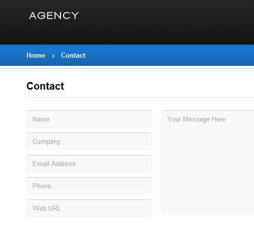 the agency theme contact form