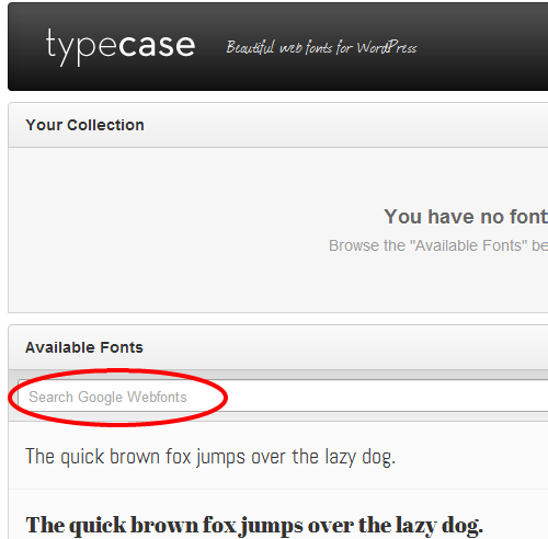 the typecase search bar