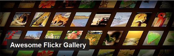 the awesome flickr gallery plugin header