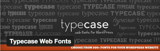 the typecase plugin graphic
